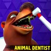 Dentist Animal Bling Doctor icon