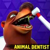 Biểu tượng Dentist Animal Bling Doctor