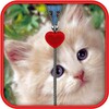 Kitten Zipper Screen Lock icon