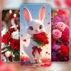 Rose Wallpaper icon