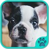 Cute Dog Games free icon