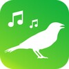 Sounds of birds icon