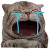 Icono de Cute Cat Meme