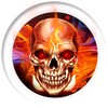 Skull Theme icon