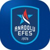 Anadolu Efes Spor Kulübü icon
