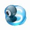 Camersoft Skype Recorder icon