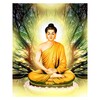 Icône Buddha Quotes in Hindi