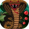 Snakes and Ladders Game icon