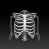 Icono de Bones Human 3D (anatomy)
