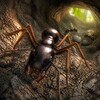 Ant Simulation icon