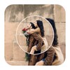 PIP Photo - Photo Editor App icon