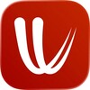 Windy.com icon