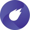 Fly Launcher 图标