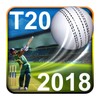 T20 Cricket Games 2018 HD 3D icon