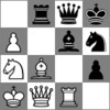 Chess Tactics Trainer icon