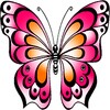 Butterfly HD Coloring Book icon