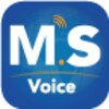 MS Voice icon
