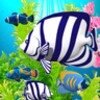 Blue Aquarium Wallpaper icon