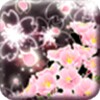 Cheery Blossom Mystic [ ]HOME icon