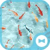 Gold Fish icon