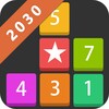 ไอคอน Block 2030 - Fun puzzle game