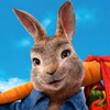 Peter Rabbit Run! simgesi