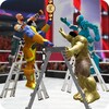 Tag Team Superhero Ladder Wrestling Tournamentアイコン