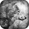 Wolf in Foggy Forest icon