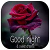 Good Night images icon