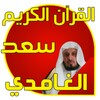 الغامدي قرآن كاملا بدون انترنت icon