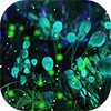 Firefly Forest HD Live Wallpaper Free icon