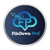 Icono de File Down Pro