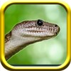 Snake icon