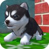 Cute Pocket Puppy 3D icon