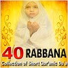 40 Rabbana Collection icon