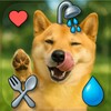 ไอคอน Real Pets by Fruwee