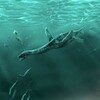 Plesiosaurus Simulatorアイコン