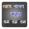 প্রেমে পাগল করার মত SMS icon