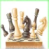 Chess Pro icon