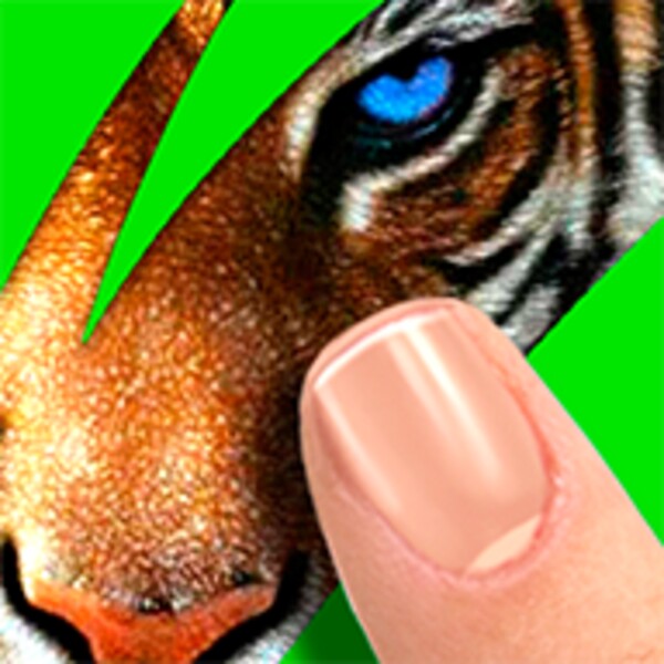 Scratch: Guess animal para Android - Descarga el APK en Uptodown