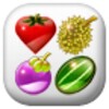 FruitSwap icon