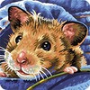 Hamster Puzzles icon