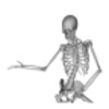 Dancing Bones icon