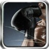 Ikon Boxing Mania