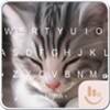 Gatos icon