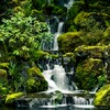 Waterfall Wallpapers icon