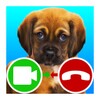 Puppy Fake Video Call Game icon
