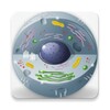 Biology - Lectures icon