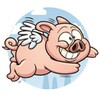 Flappy Pig icon