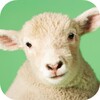 Sheep Sounds icon